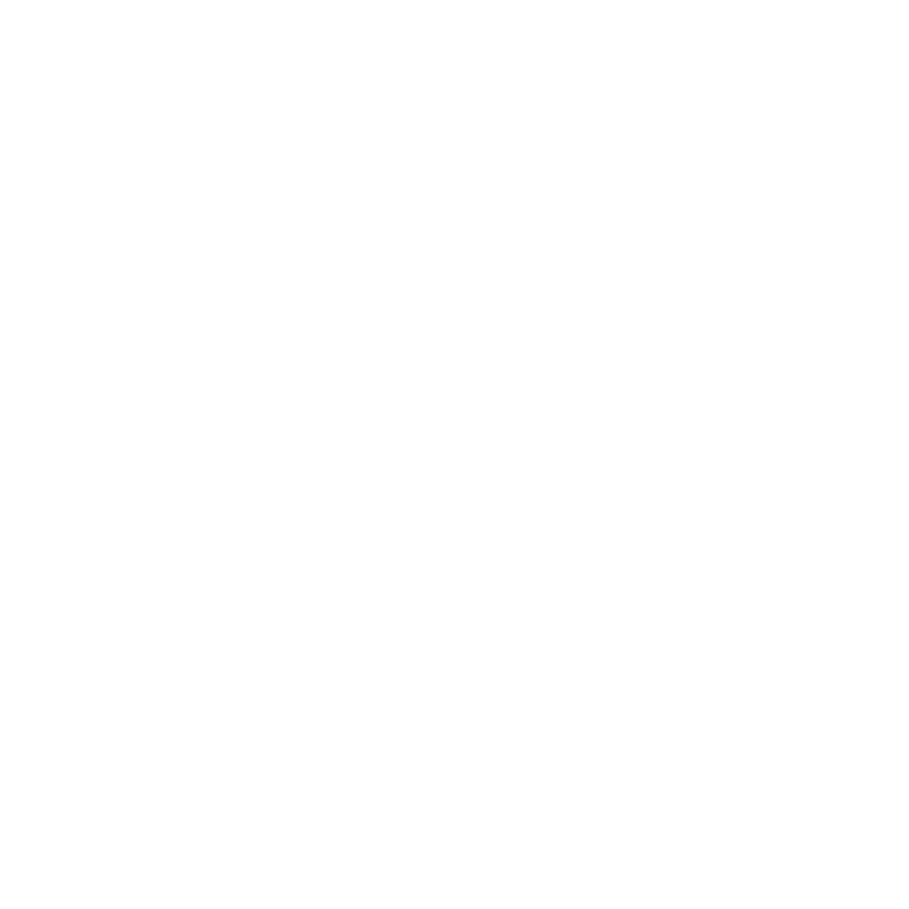 The Windy Project Logo
